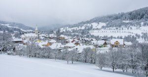 Fotogalerie společnosti Obec Trnava